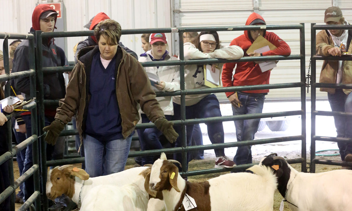 FFA Livestock Judging (4).JPG